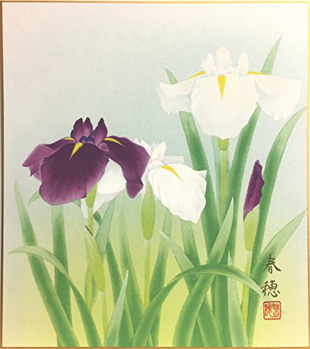 Amazon.co.jp: 藤田春穂 「 菖蒲 」 色紙絵 日本画 絵画 : 文房具